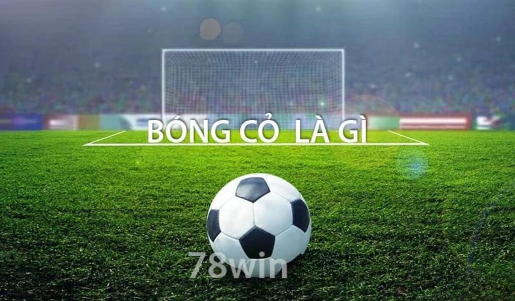Bóng cỏ là gì