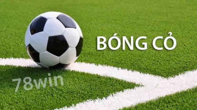 bóng cỏ là gì