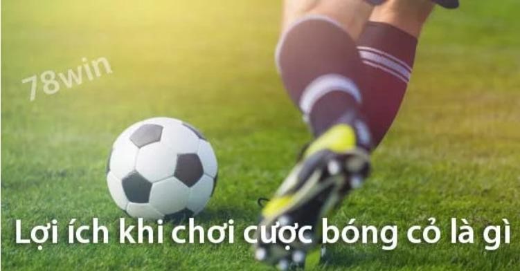 lợi ích khi chơi cược bóng cỏ là gì