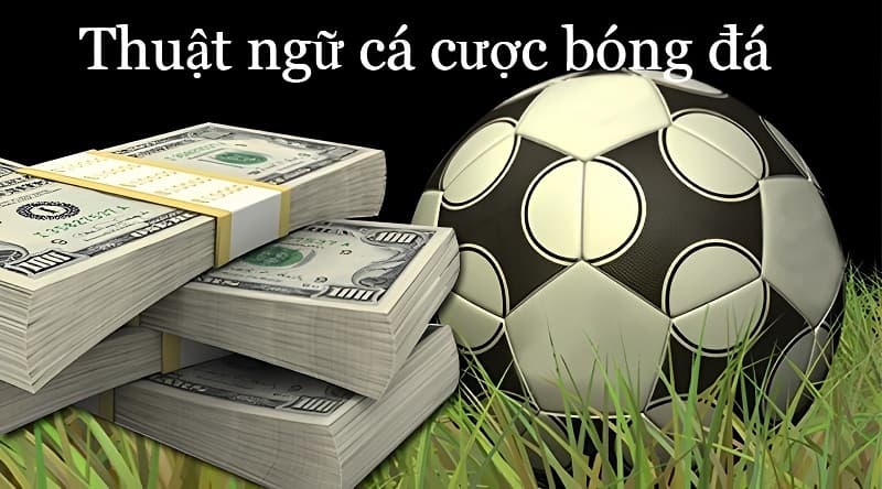 Một số thuật ngữ cá cược khác