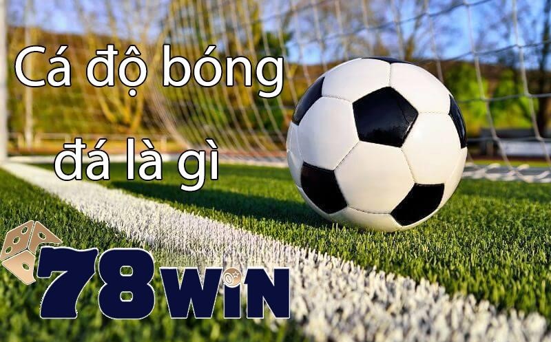 Cá độ bóng đá là gì