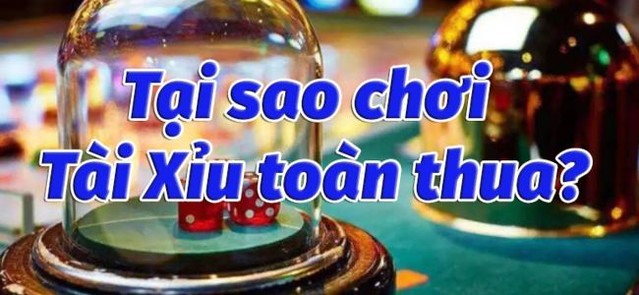 Chơi tài xỉu toàn thua vì chỉ đặt vào cửa cược có tỷ lệ trúng lớn