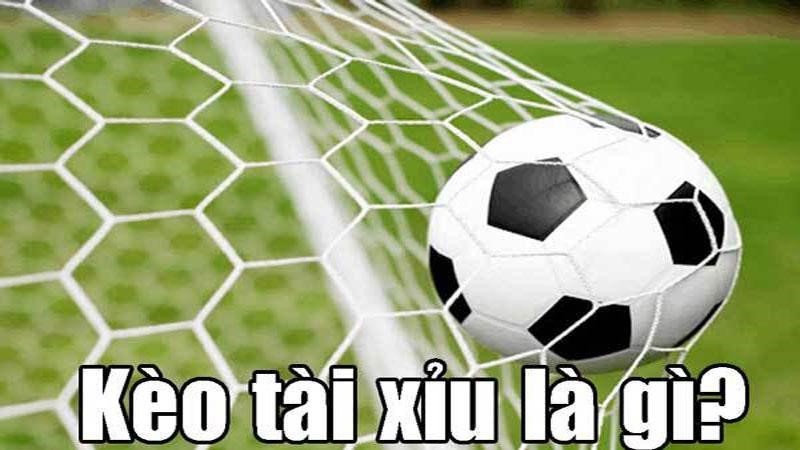 Có rất nhiều loại kèo tài xỉu trong bộ môn bóng đá