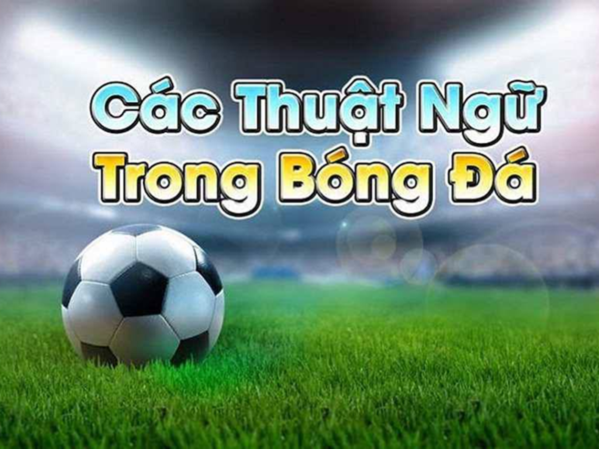 Thuật ngữ cá độ bóng đá về kèo tài xỉu