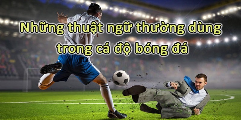Thuật ngữ cá độ kèo rung thường xuyên được sử dụng khi cá độ bóng