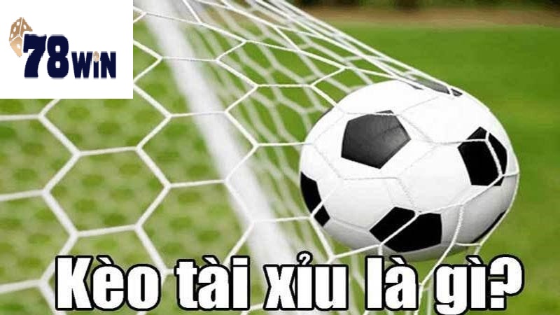 Hướng dẫn tính thắng thua tài xỉu 0.5/1
